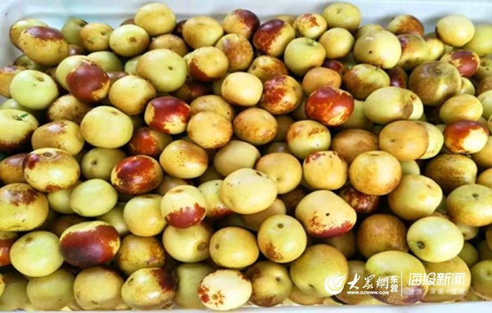冬枣空运到菲律宾,冬枣拓宽电商渠道
