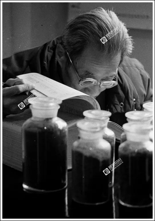 四川70年代老照片图库,四川老照片100张图片