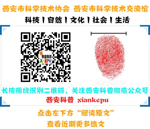 为啥肌肉会萎缩,臀部肌肉稍萎缩