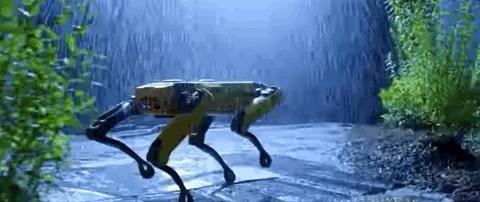 硅谷“逆天”机器人刷屏，人类已经无法阻挡AI了？