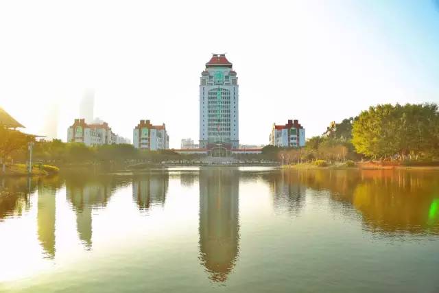 2020年厦大研究生初试录取分数线,2020年厦大统计专研录取线是多少