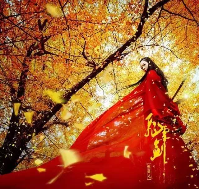 包头去额济纳胡杨林攻略,广州到额济纳胡杨林攻略