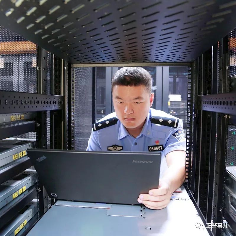 守护者2017,守护者七合集