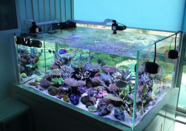 sps哪家更实用,sps怎么操作