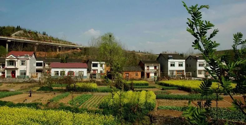 石家庄农村宅基地一户一宅新政策,石家庄宅基地最新政策