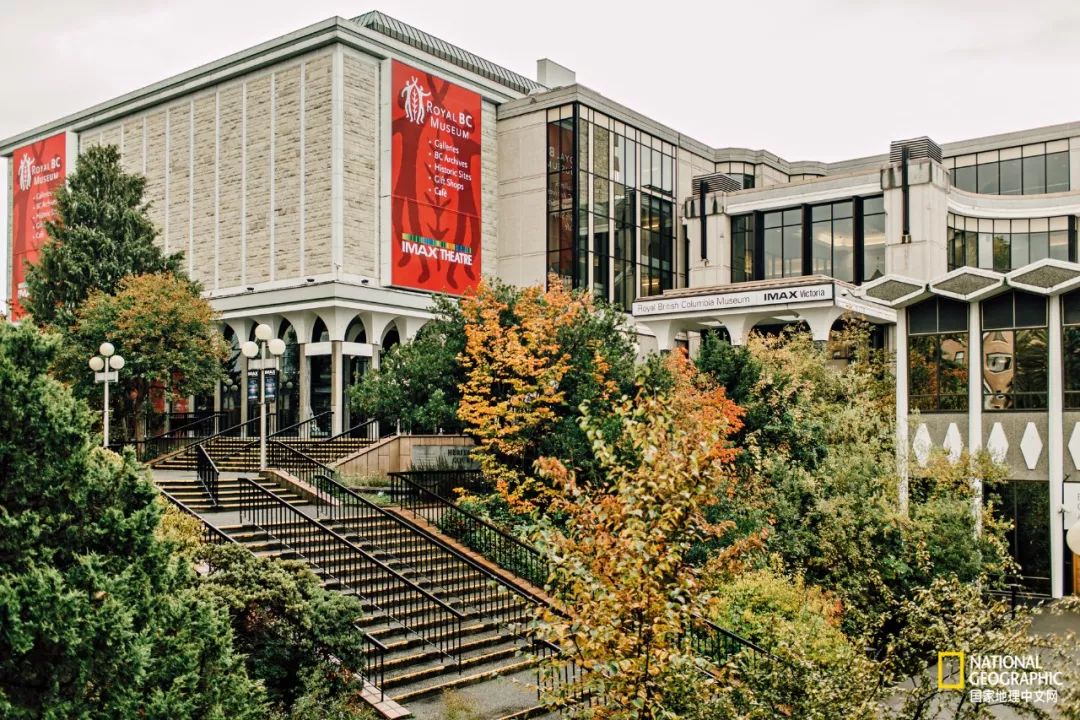 去加拿大必去景点有哪些地方,在加拿大10月中旬旅游地点推荐