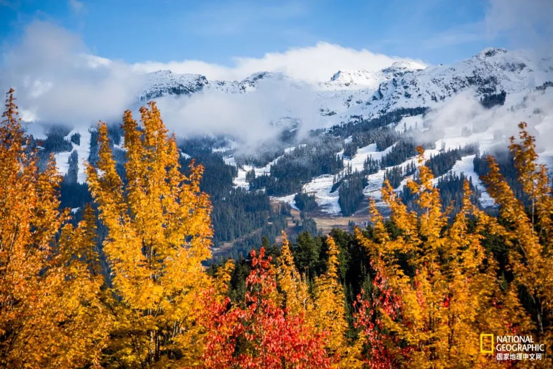 去加拿大必去景点有哪些地方,在加拿大10月中旬旅游地点推荐