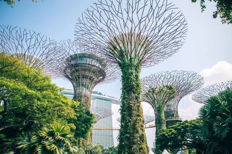 新加坡圣淘沙鱼尾狮为什么拆除,新加坡鱼尾狮为什么修二个月