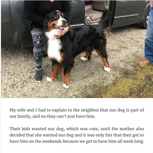 那些直击灵魂深处的奇葩问题,那些让人怀疑人生的奇葩问题