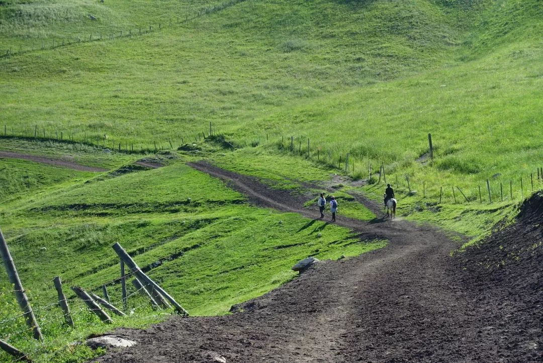 选好出行路线,选日期出行