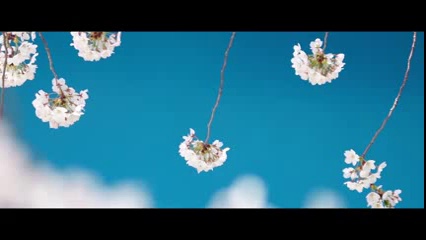 钱春萍：建环滇绿道过“花朝节”让“绿色”成昆明最亮名片