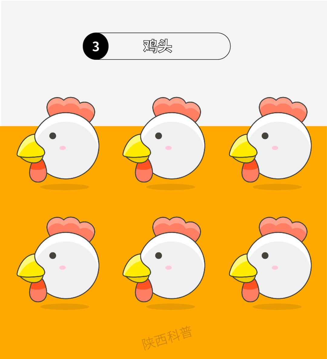 生病鸡杀了哪些部位不能吃,鸡哪些部位不能吃