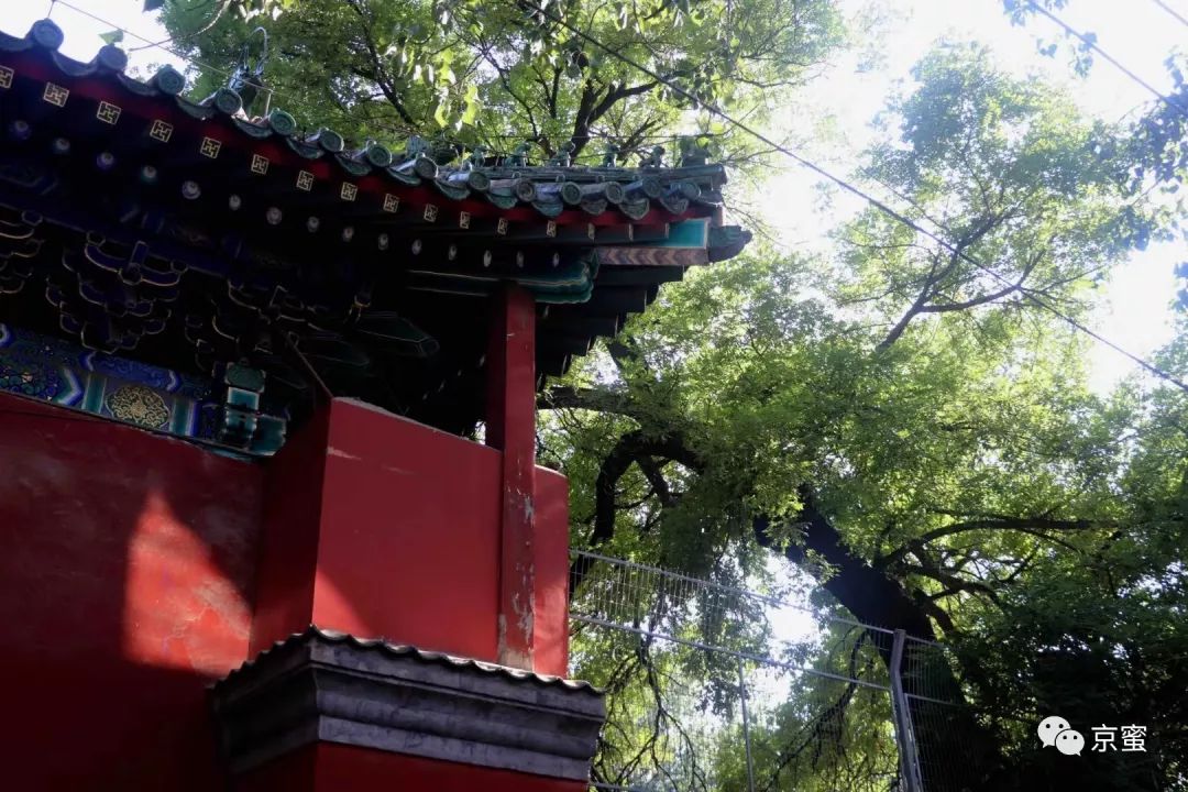 北京特色民宿攻略,玩转北京旅游攻略视频大全