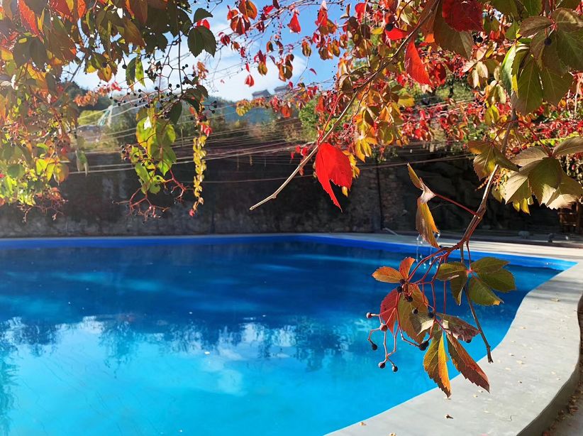 鎵垮痉鍏撮殕娓╂硥搴峰吇鍏瘬,鎵垮痉搴﹀亣鍏瘬