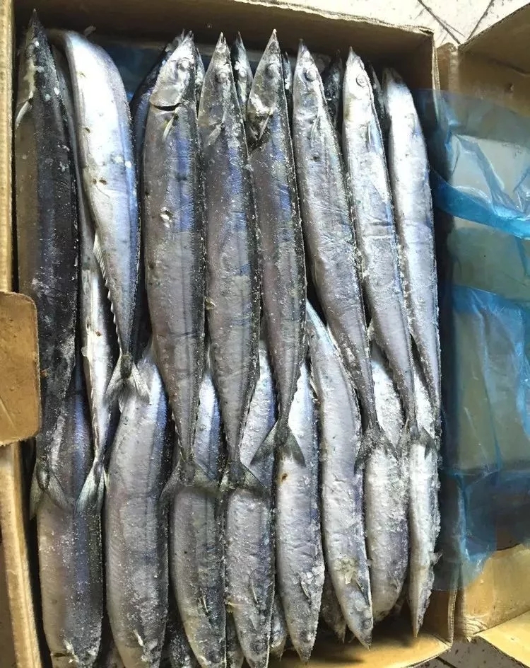 海鲜市场纯天然的7种鱼,水产市场什么鱼可以回家养