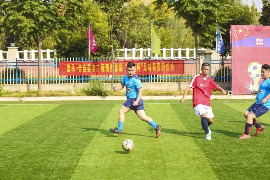 两虎相争13集,两虎大战精彩无比