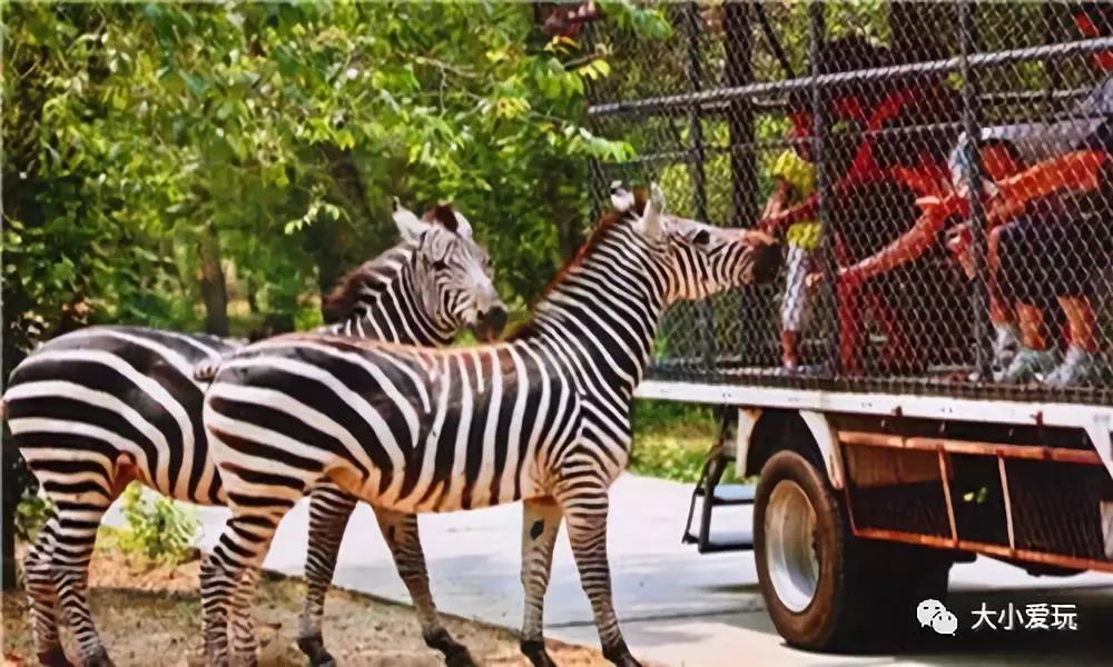 十一北京好玩的地方推荐带孩子去,北京十一旅游好玩的地方推荐一下