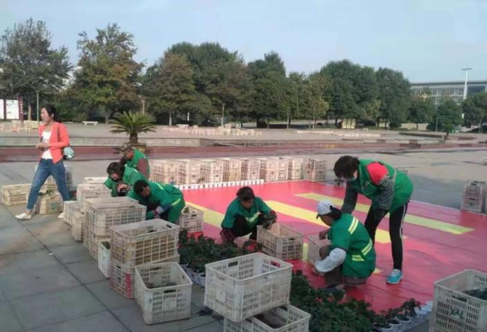 大变样！巩义再次颜值“逆天”，快去拍拍拍