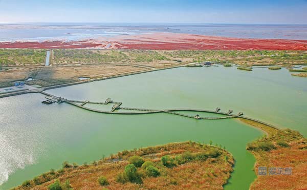 东营国庆免费的景点,国庆东营
