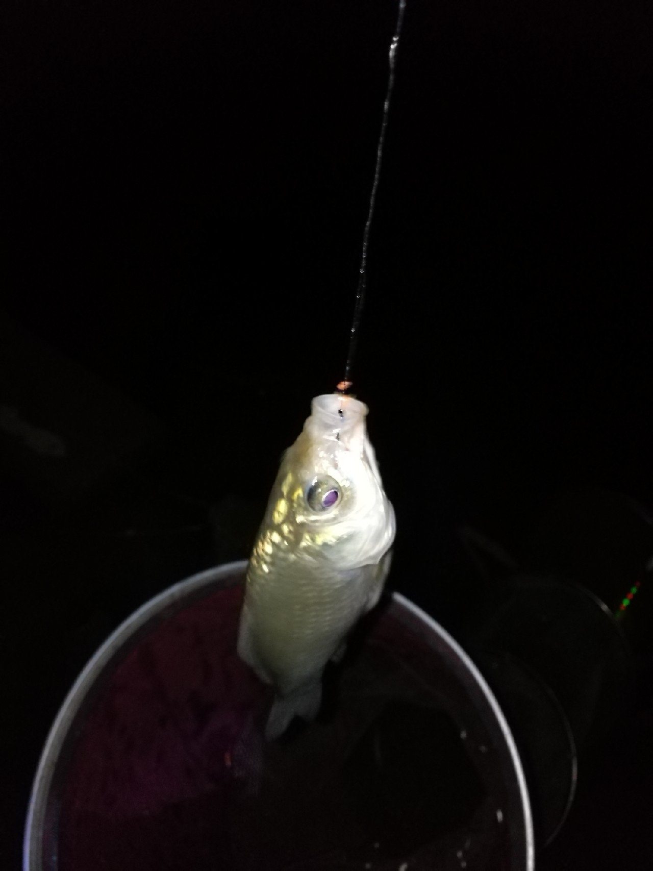 调整军事战略方针,调整战术与战略