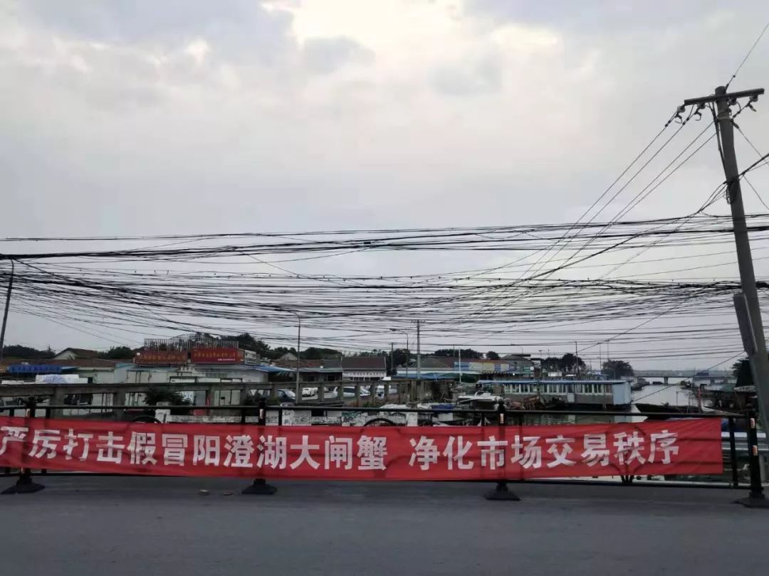 阳澄湖大闸蟹死了怎么保存,阳澄湖大闸蟹调查员带你了解真相