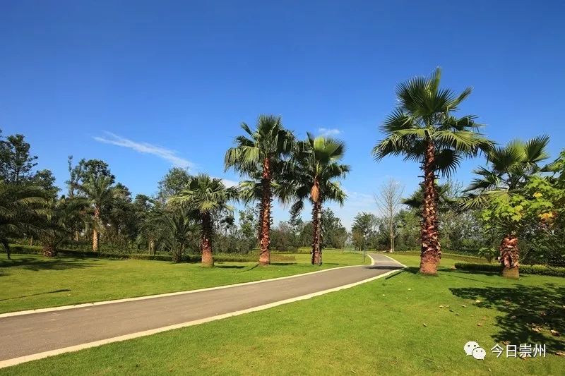 谁不说俺家乡好赛马简谱二胡谱,谁不说俺家乡好在希望的田野上