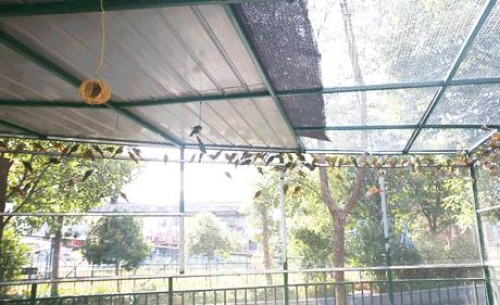 柏乐园附近美食,柏乐园有没有美食