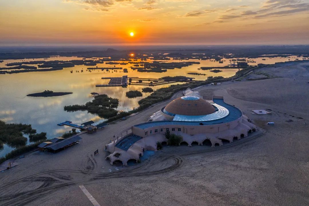 十一必游额济纳胡杨林,十一离宁夏近有草原的旅游推荐