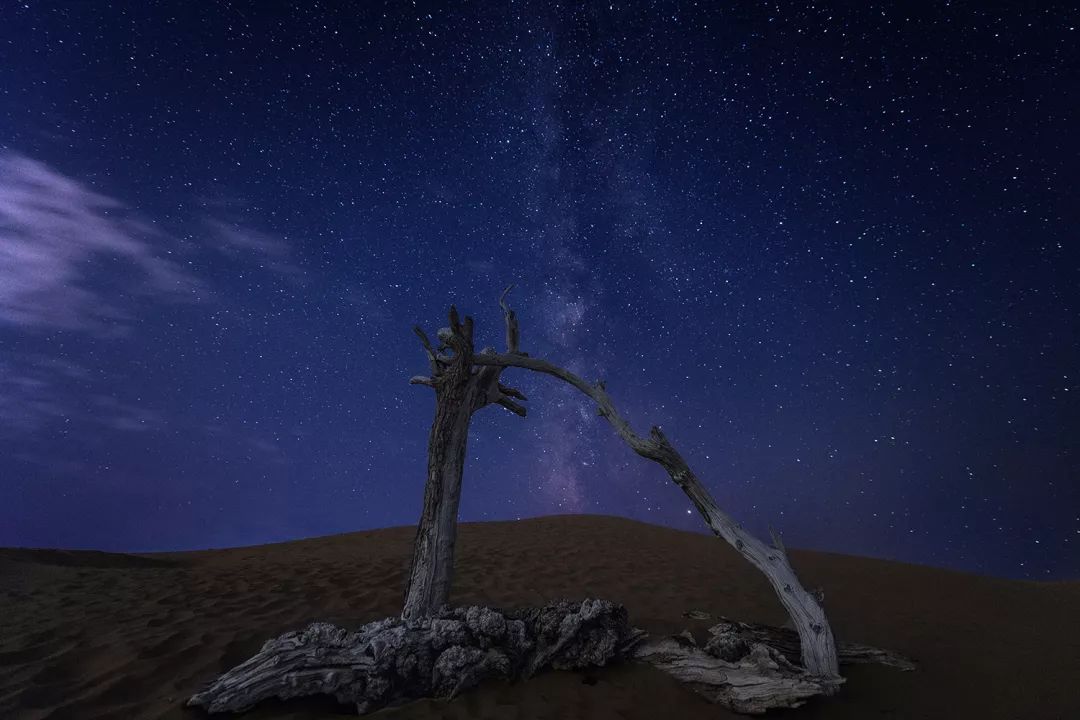 十一必游额济纳胡杨林,十一离宁夏近有草原的旅游推荐