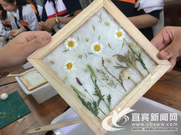 宜宾行知中学社团,宜宾行知中学第六届校园文化艺术