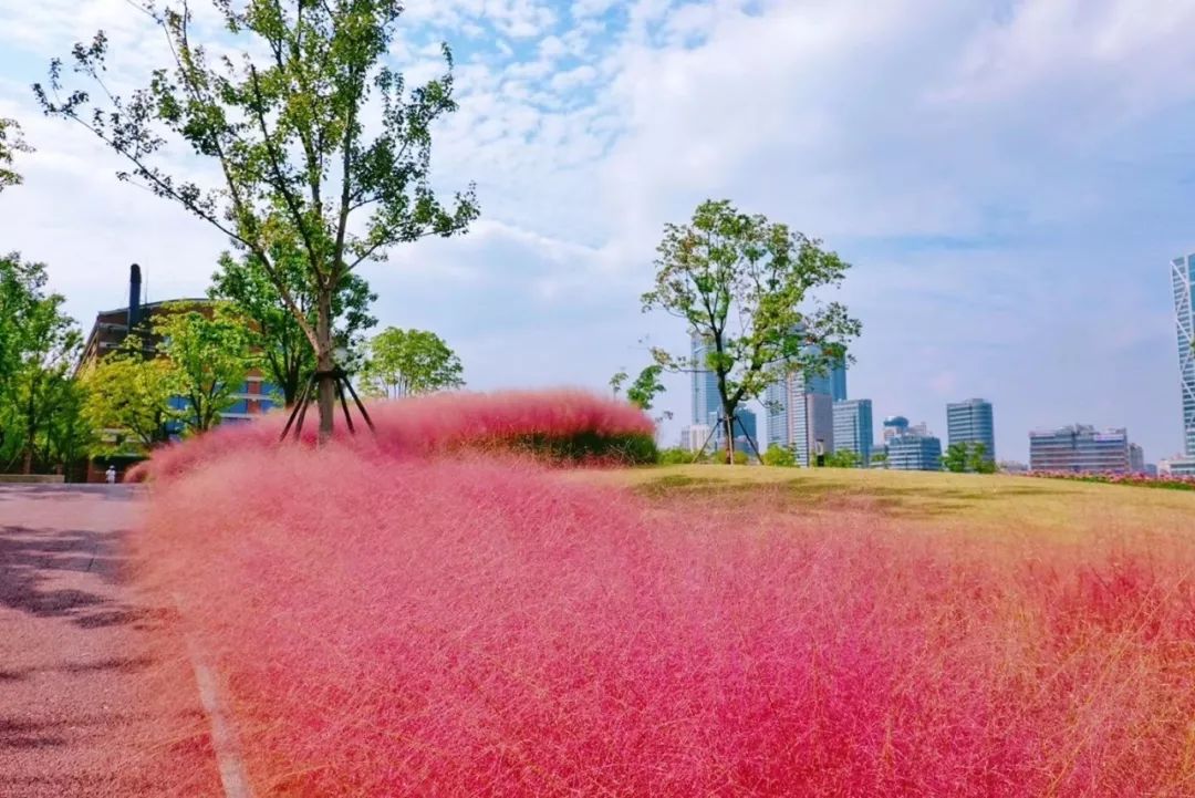 滨江游玩好去处,滨江道适合打卡的地方