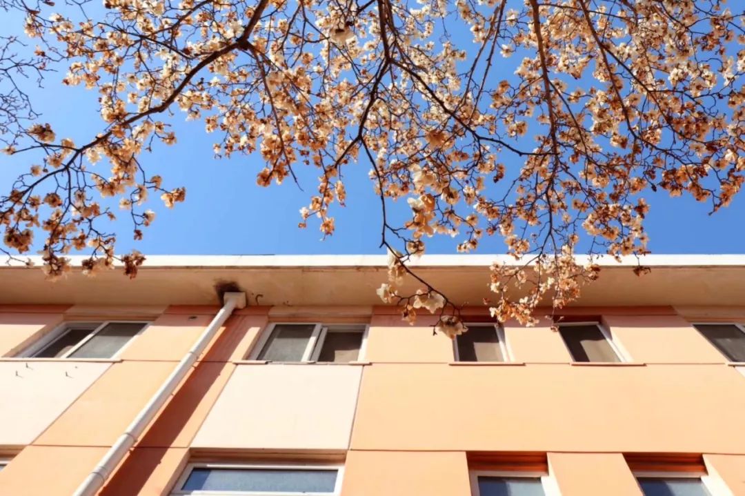 中国人民大学新消息,中国人民大学消息