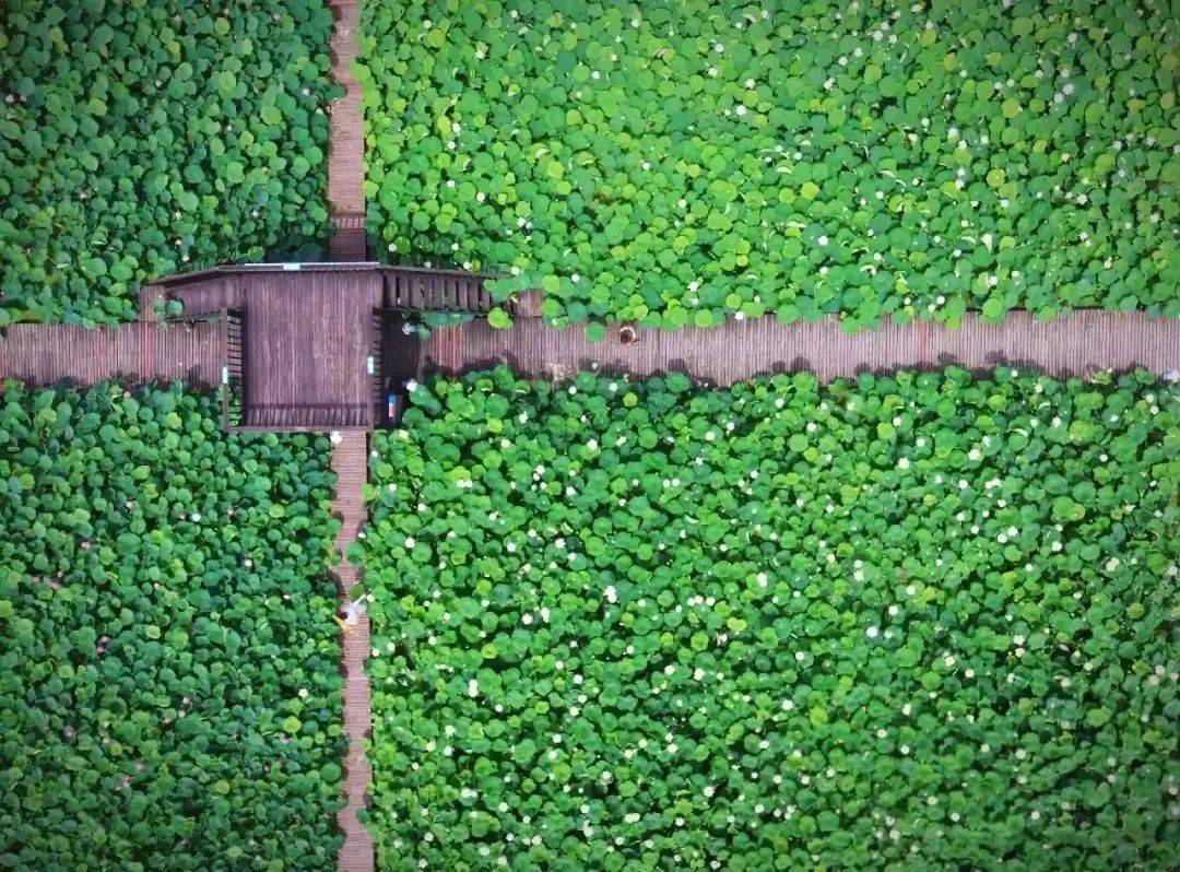 2024松江旅游节,松江旅游节