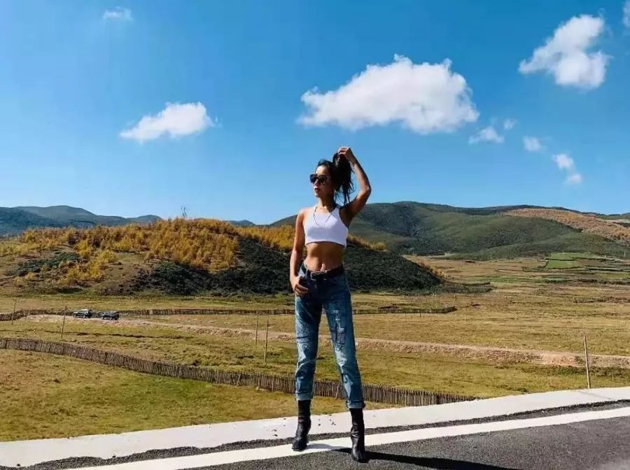 刘欢最火的演唱会,刘欢2017年演唱会