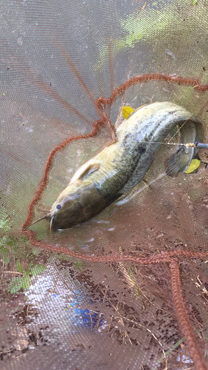 假期回家阖家欢乐,假期来郊外玩心情美美哒