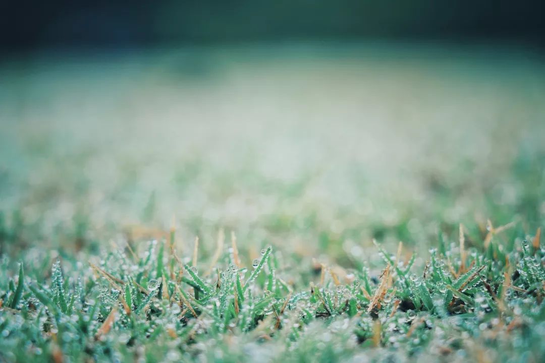 今天寒露具体时间,2019寒露开始时间