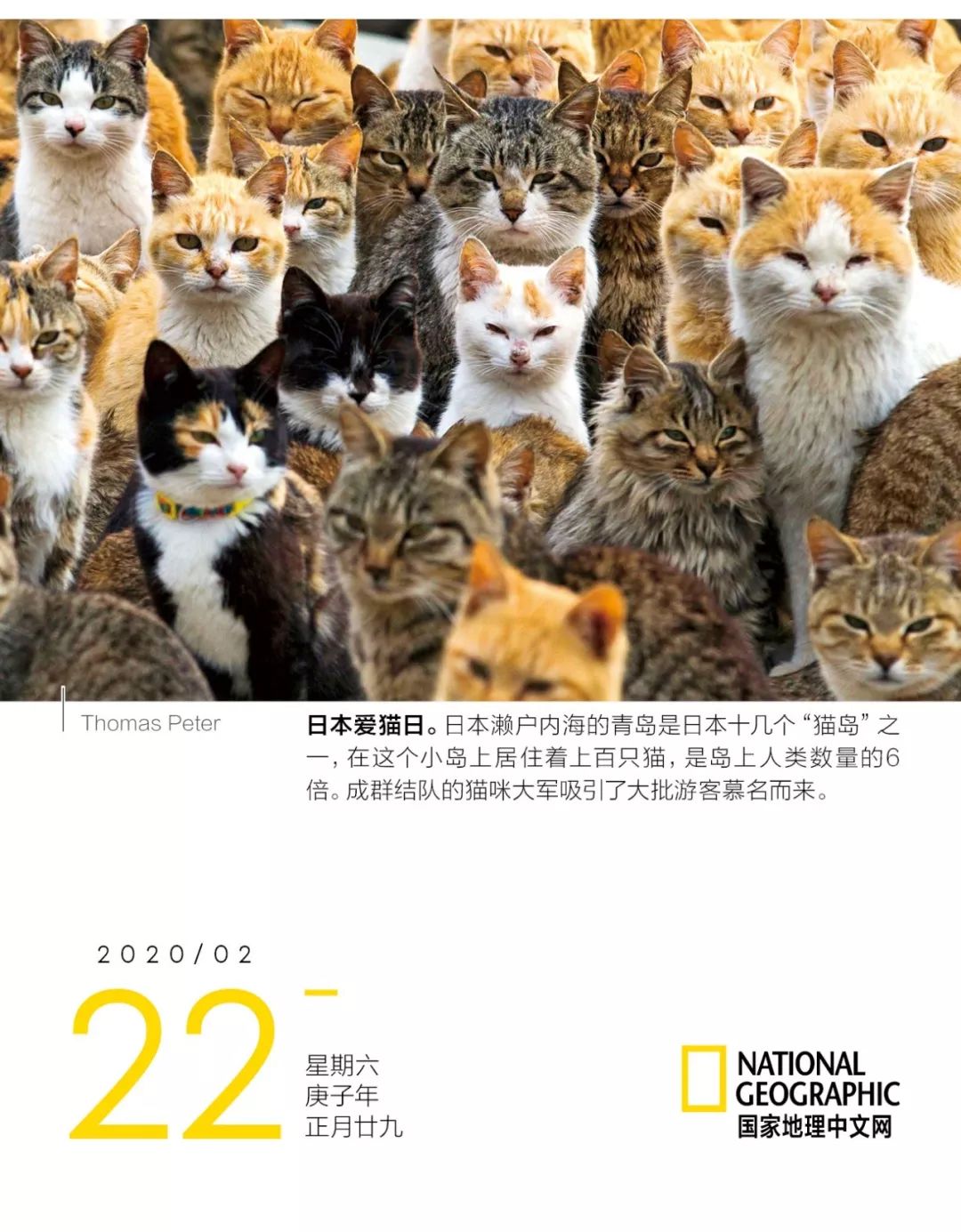 国家地理日历2024正版,2022年日历国家地理