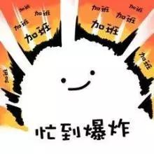 淘宝买的沙雕东西,吐槽我买的沙雕物品