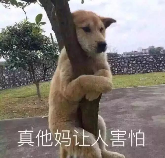 网络占卜算命套路大全图片,淘宝上的花式算命割韭菜