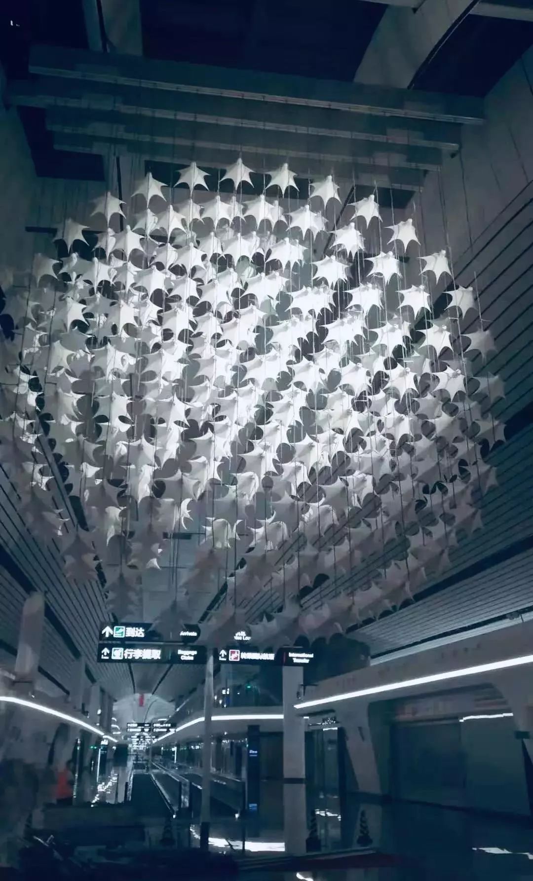 大兴机场艺术博物馆,不止黑科技