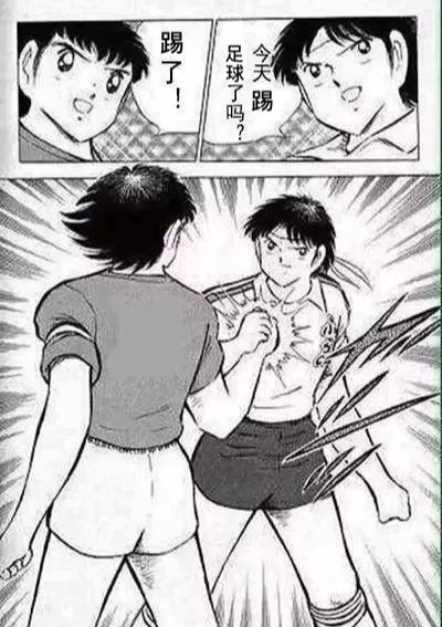 成都有几座专业足球场,成都有哪些免费足球场