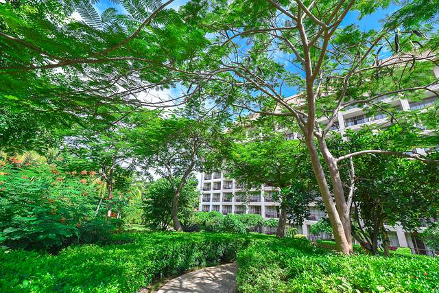 三亚旅游攻略自由行民宿十天,三亚旅行攻略自由行