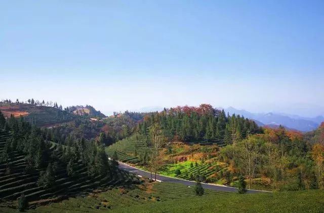 宜昌看红叶最佳地点,宜昌红叶最佳地点