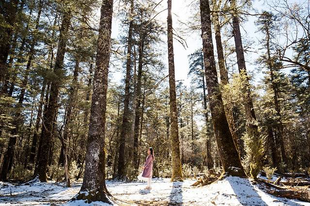 人间仙境美丽丽江,丽江遇见最美的丽江