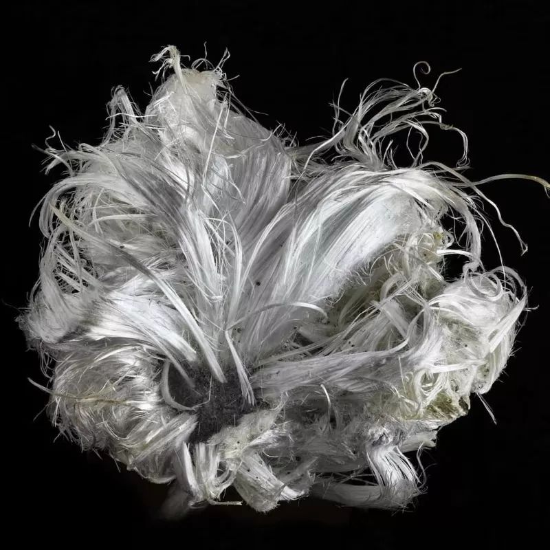 谁还不是个小可爱呢下一句,谁还不是小可爱