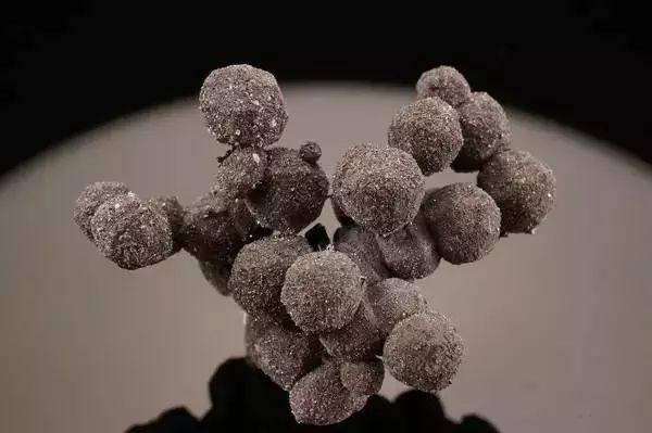 谁还不是个小可爱呢下一句,谁还不是小可爱