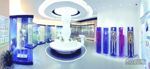 多彩妹摆贵州丨贵州的大学城就在这里,好想回去谈一场恋爱