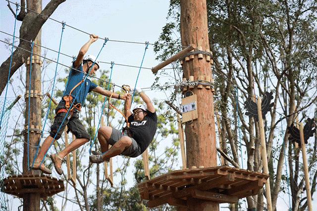 抖音盒子开启潮流生活,盒子世界现在是怎么了