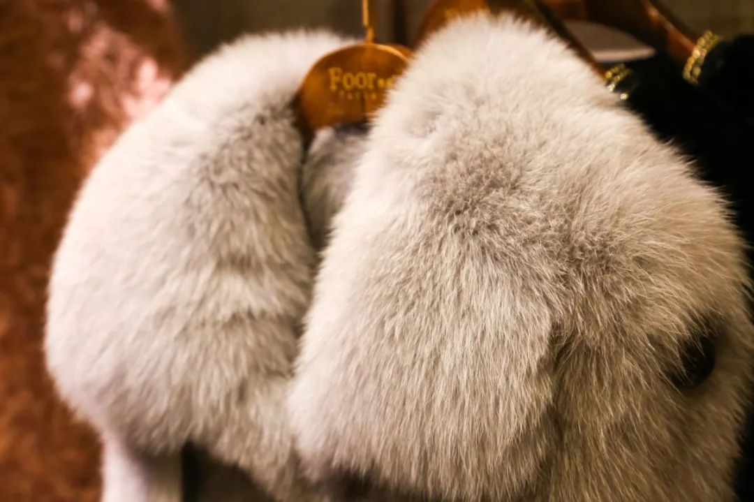 这场全金华人不要错过的团购会，马小家族带你一起去嗨皮