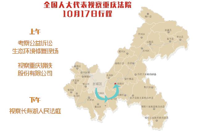 渝你同行政法视频,重庆渝你同行视频